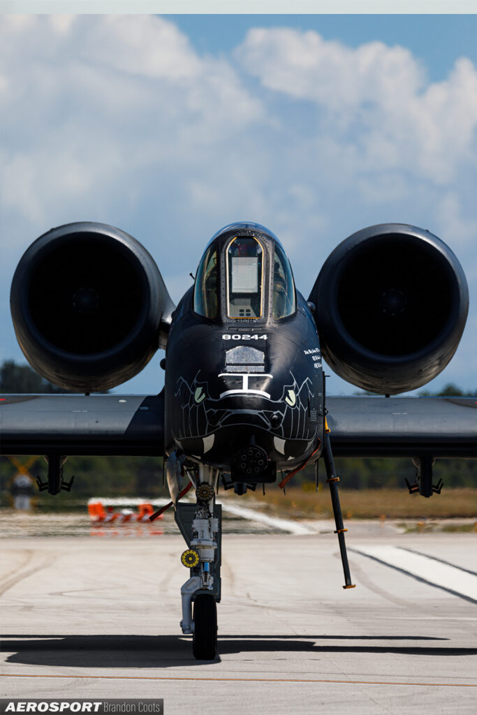 A10 Warthog "Black Mamba"